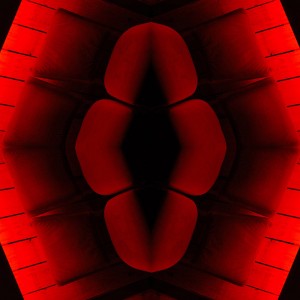 https://www.alainpierot.com:443/files/gimgs/th-13_bouche rouge web.jpg